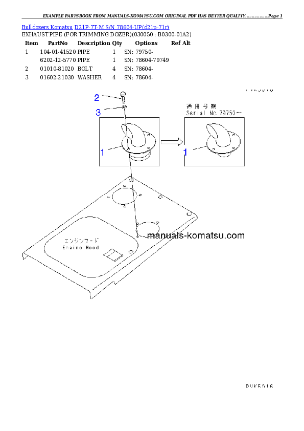 Protected: D21P-7T-M S/N 78604-UP Partsbook