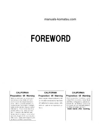 PC300LC-8(JPN)-M0, WORK EQUIPMENT GREASE 100H S/N 80503-UP Operation manual (English)