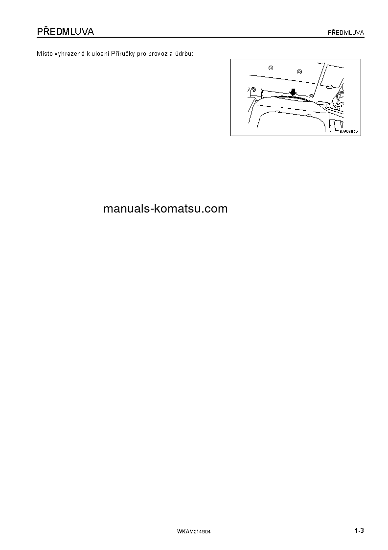 Protected: PW118MR-8(ITA) S/N F00342-UP Operation manual (Czech)