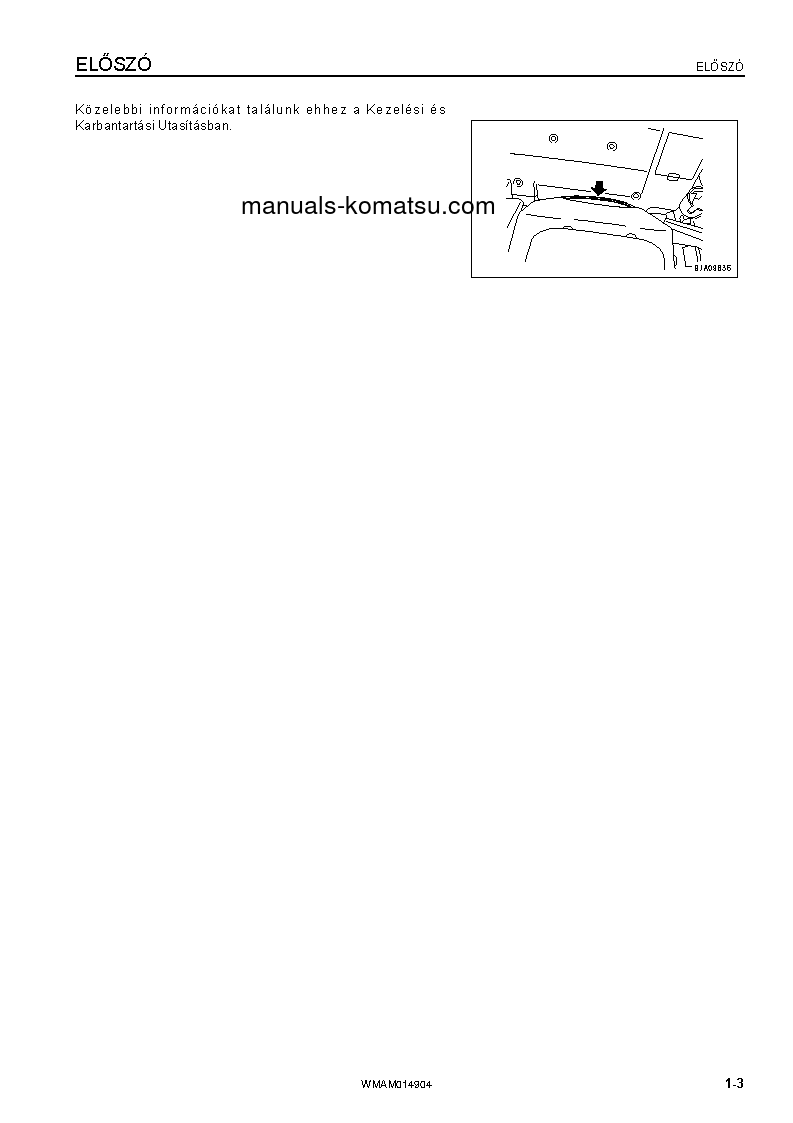 Protected: PW118MR-8(ITA) S/N F00342-UP Operation manual (Hungarian)